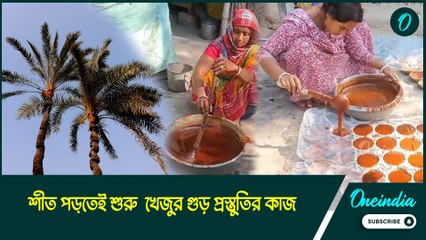 শীত পড়তেই খেজুর গাছ ঝাড়ার কাজ শুরু গাছিদের, বাজারে কবে মিলবে গুড়?