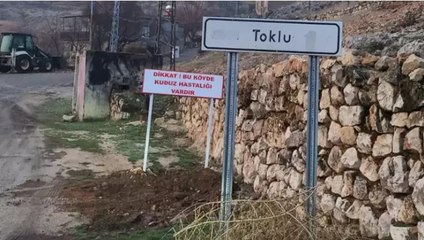 Adıyaman’da bir köy kuduz nedeniyle karantinaya alındı