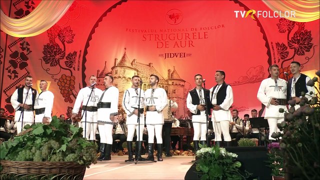 Ansamblul „Jidvei Romania”(baieti) Colaj din Ardeal (Fest.Strugurele de aur-TVR FOLCLOR-14.12.2024)