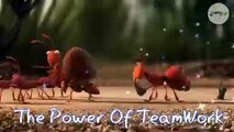 Teamwork and Leadership _ Animated short clip _ Creative 360