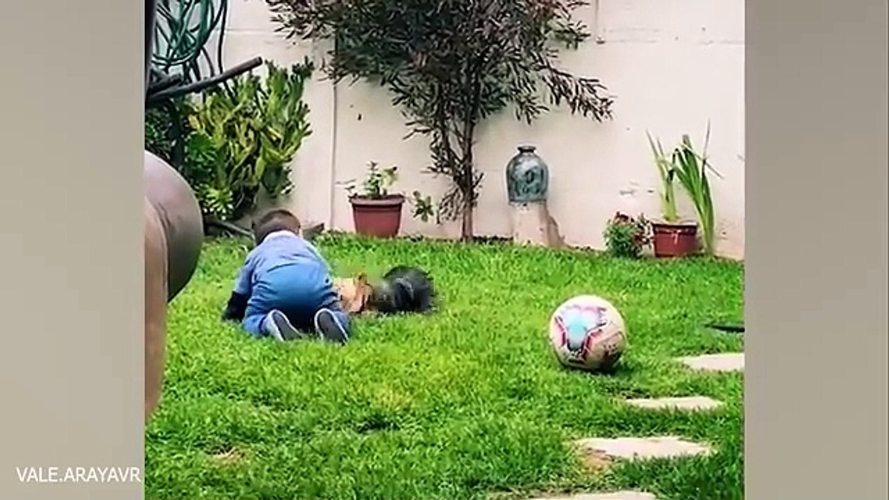 When your dog becomes a big brother - Cute Moments Dog and Human.