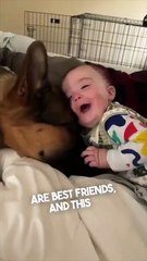 The most adorable dog and baby video ever ❤️