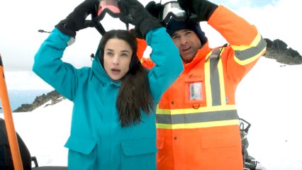 Sneak Peek at Hallmark's Polar Opposites