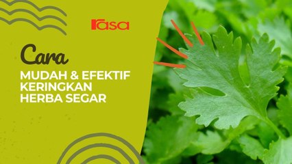 Cara Mudah & Efektif Keringkan Herba Segar