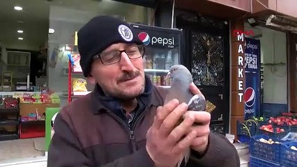 Bakkal sahibinin sadık yol arkadaşı!