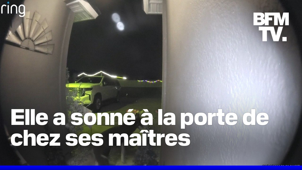 États-Unis: disparue depuis une semaine, une chienne sonne à la porte pour annoncer son retour chez ses maîtres