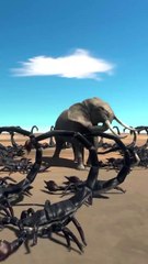 3D Animation animal wildlife Gameplay FUN GAMES TV