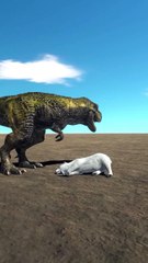 Animals 3D Animation Games Fun games TV