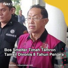 Bos Smelter Timah Tamron Tamsil Divonis 8 Tahun Penjara