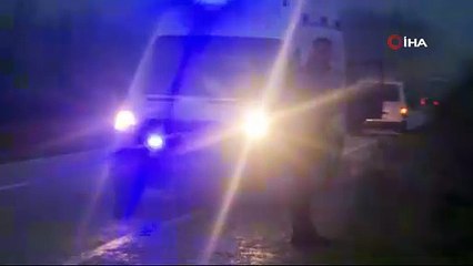 Yoğun sis kazaya neden oldu