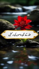 Al-Quraan recitation and translation