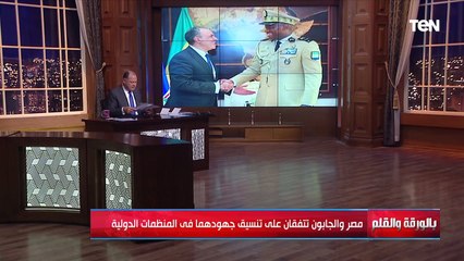 تفاصيل الاتفاق بين مصر والجابون تتفقان على تنسيق جهودهما في المنظمات الدولية