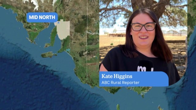 South Australian farmers facing devastating weather conditions