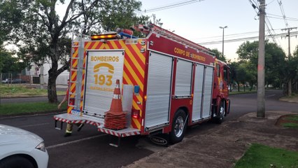 Cachorro morre entalado em encanamento de imóvel em Cascavel