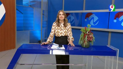 Resumen Caso CONANI | Nuria Piera