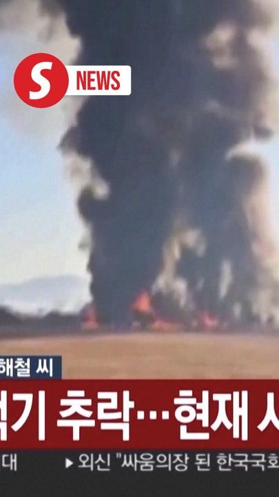 At least 28 dead in fiery aircraft crash in South Korea