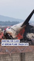 Hunting for clues at Korean plane crash site
