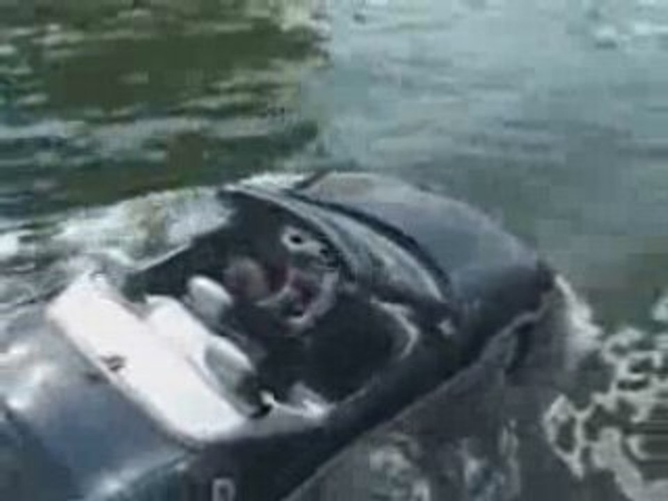 Voiture emphibie
