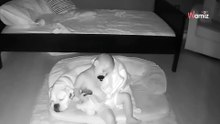 Überwachungskamera filmt nachts im Kinderzimmer: 14 Millionen Zuschauer sind völlig baff