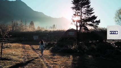 Why People Love Movies? A Fun Dive into World of Cinema