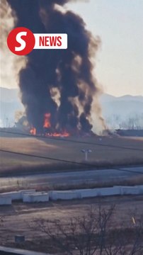 Moments of South Korean plane crash captured on video