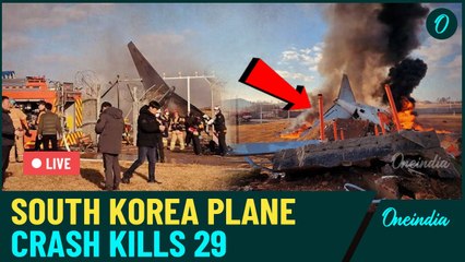 29 dead as Jeju Air plane from Bangkok crash-lands in South Korea; over 170 passengers aboard