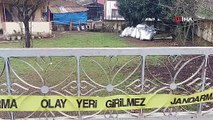 Sakarya'da garip olay: Horozların gittiğini görünce dehşet saçtı!