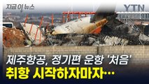 무안공항서 첫 정기편 운항하자마자...취항 20여일만에 '대참사' [지금이뉴스] / YTN