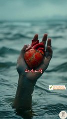 Omeed e yaar ... Urdu sad poetry shayari status #poetry