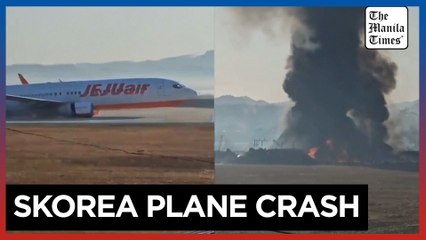 Aircraft erupts into a fireball shortly after landing in South Korea