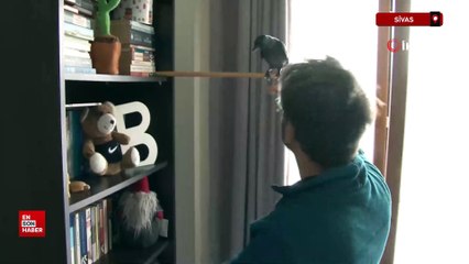 Sivas'ta bu dostluğu görenler şaşırıyor