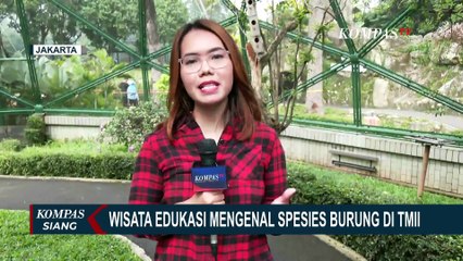 Wisata Edukasi, Pengunjung Bisa Rasakan Pengalaman Berinteraksi dengan Burung di TMII