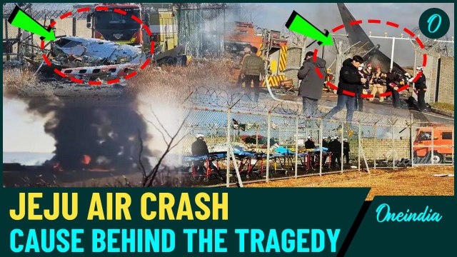 Jeju Air Crash: What Went Wrong? Plane Skidded, Hit a Wall & Erupted into a Massive Fireball