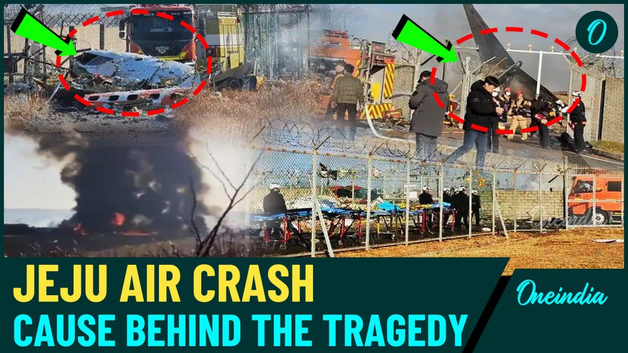 Jeju Air Crash: What Went Wrong? Plane Skidded, Hit a Wall & Erupted into a Massive Fireball