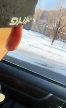 Faire la course à cheval avec une voiture... mauvaise idée