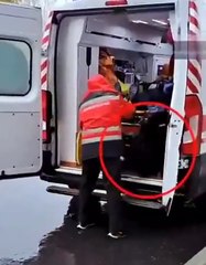 Ce chien est bien décidé à suivre son maitre à l'hopital