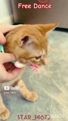 __Free dance__ #baby #cute #funny  # shorts @star_14672 (1)