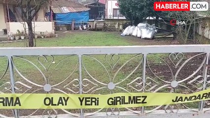 Horoz Krizi: Komşuya Verilen Horozlar İçin Dehşet Saçtı