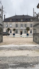 🎥✨ Une journée mémorable à la distillerie de Gin Citadelle, en compagnie des meilleurs amis et d’un des meilleurs gins au monde ! 🥂🍸