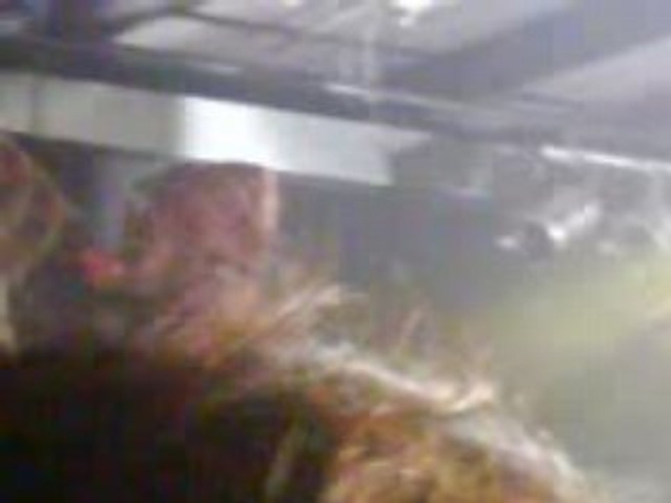 keny arkana Reveillez-vous beauvais avril 2008