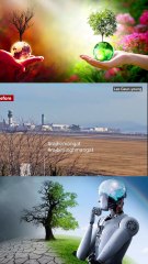 Video captures moments before South Korea plane crash