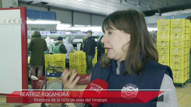 Comienzan los preparativos para despedir el año 2024