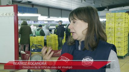 Comienzan los preparativos para despedir el año 2024