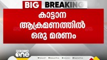 പശുവിനെ അഴിക്കാന്‍ പോയ യുവാവിനെ കാട്ടാന ആക്രമിച്ചു, മുള്ളരിങ്ങാട് സ്വദേശിക്ക് ദാരുണാന്ത്യം