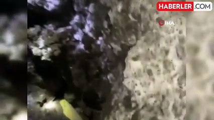 Posof'ta Toprak Kayması Doğalgaz Hattına Zarar Verdi