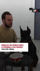 Un usuario simuló un robo en su casa para probar qué tan guardián era su perro.