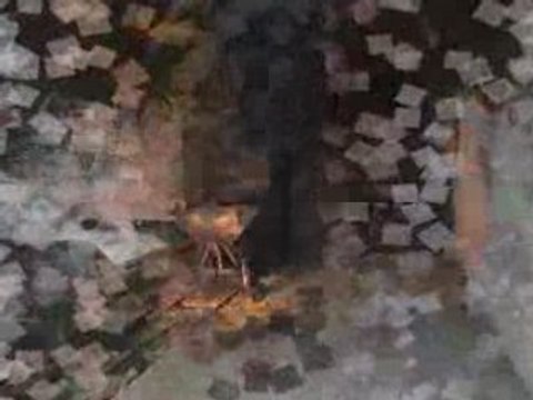 North Skoda Amical Club Day / Arras 27/04/08