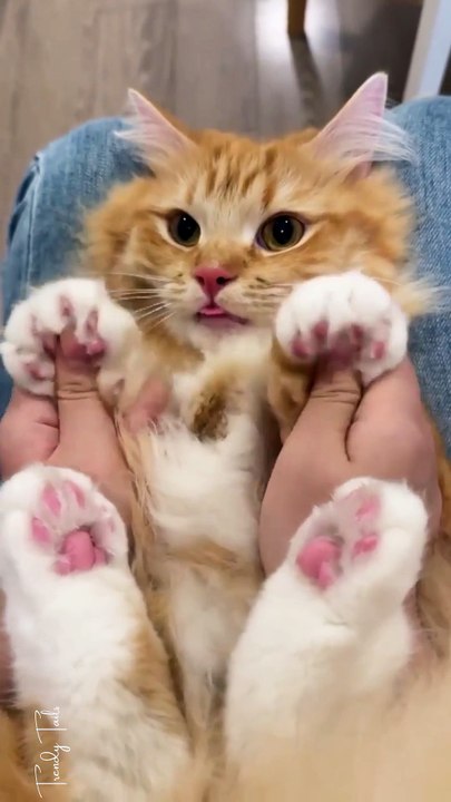 Sweetie likes it