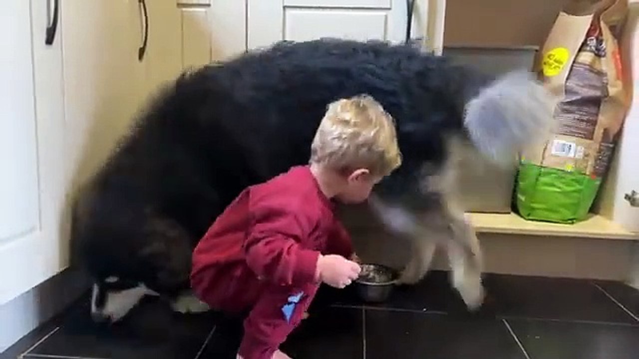 Adorable Baby Boy Feeds Puppy Is So Wholesome!! (Cutest Ever!!)