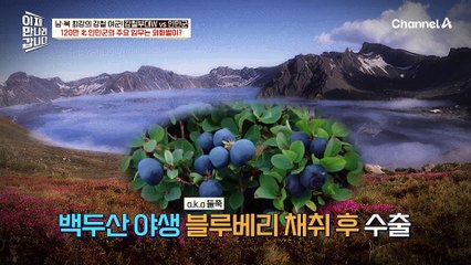 변장술로 특수 임무 수행하는 독거미 부대! 120만 북한 인민군의 주요 임무는 외화벌이?